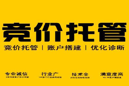 如何在SEM代运营服务公司中实现ROI最大化